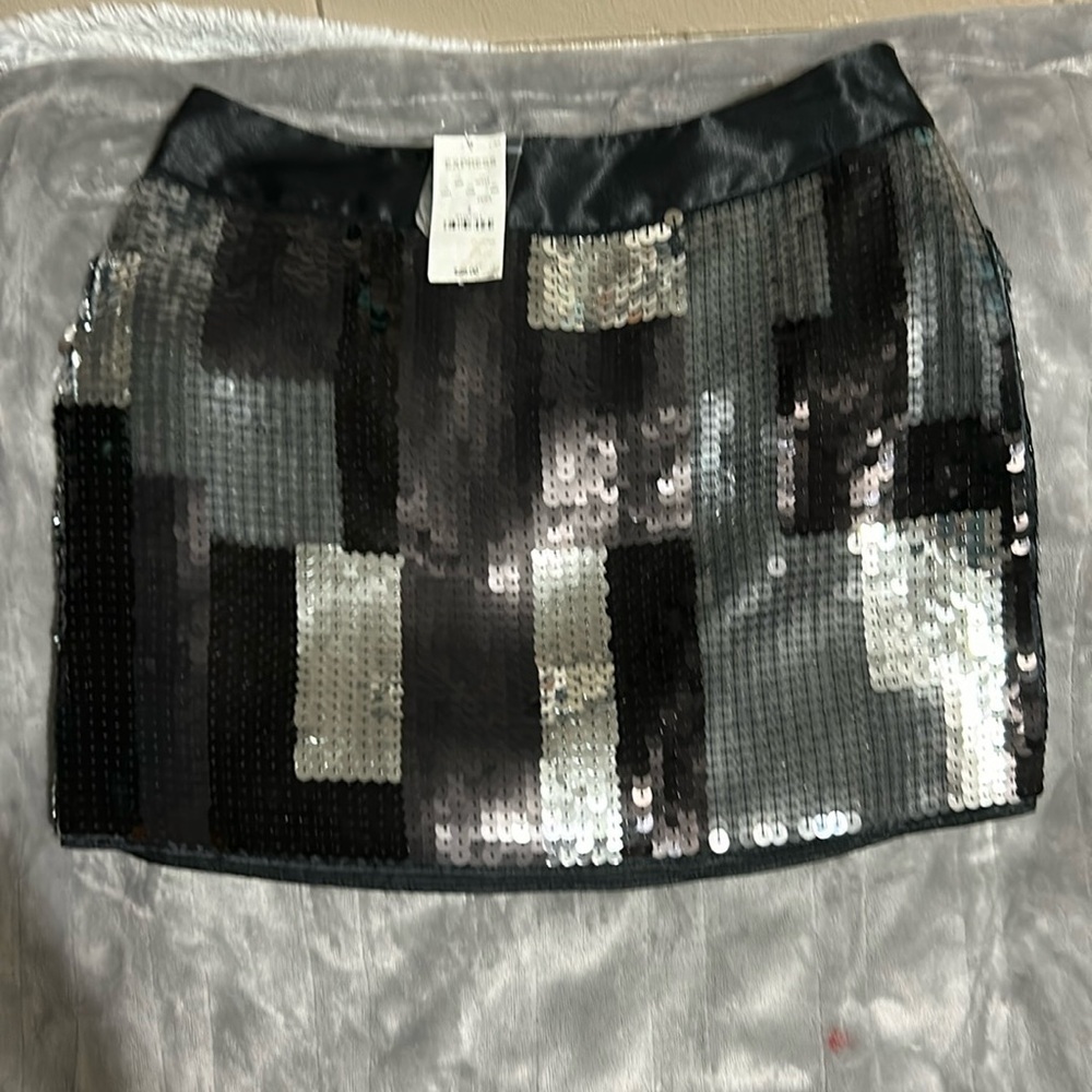NWT Express Skirt